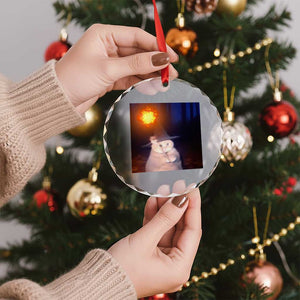Wizard Cat Crystal Glass Ornament Weird Funny Retro Halloween Orange Cat Meme TS10 Print Your Wear