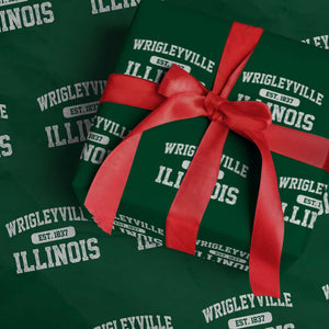 Wrigleyville Illinois Wrapping Paper Roll Vintage Chicago Classic Distressed Baseball Fan Gift TS10 Green Print Your Wear