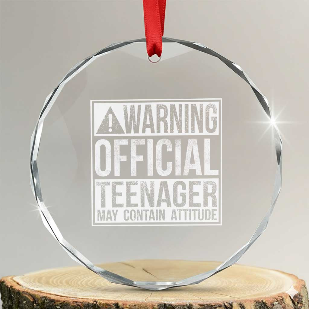 13th Birthday Crystal Glass Ornament Warning Official Teenager Boy 13yr TS10 Transparent Glass 3'' Circle Print Your Wear