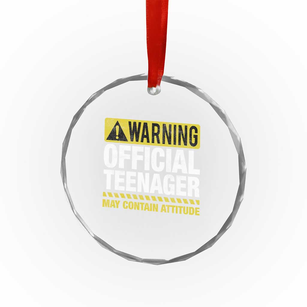 13th Birthday Crystal Glass Ornament Warning Official Teenager May Contain Attitude Funny 13 Years Old TS11 Print Your Wear