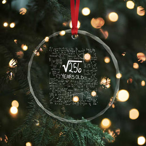 16th Birthday Math Crystal Glass Ornament Square Root of 256 Funny Math Nerd 16 Year Old Gift