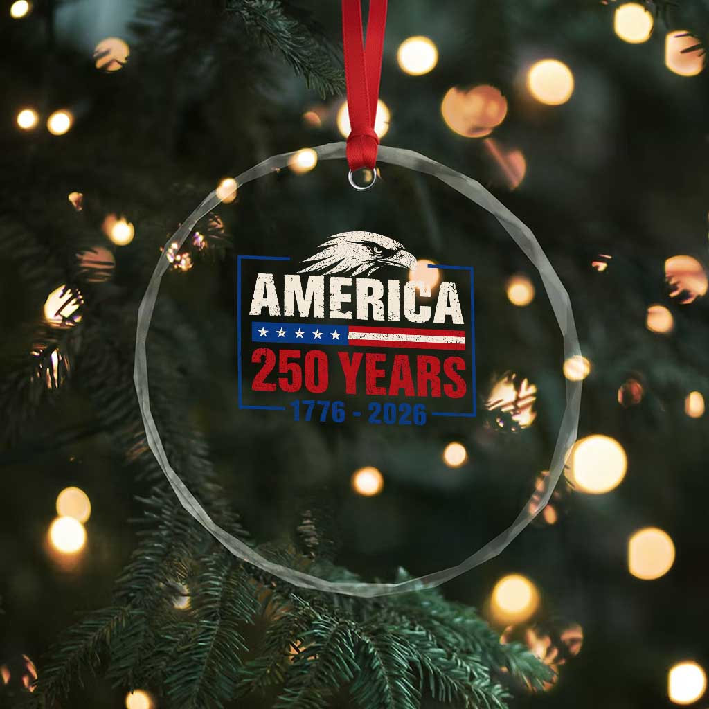 250 Anniversary USA Crystal Glass Ornament Retro Eagle 250 Years Of Freedom 1776 2026 TS10 Print Your Wear