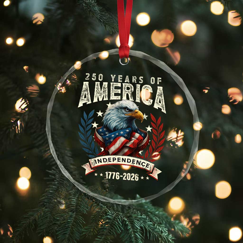 250 Years Of America Crystal Glass Ornament 250th American Anniversary Independence Bald Eagle TS11 Print Your Wear