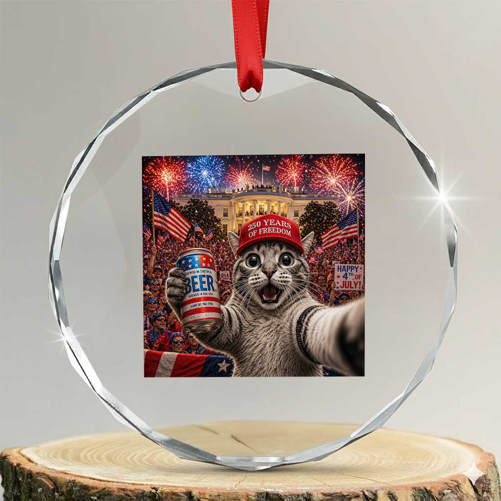 250 Years Of Freedom Crystal Glass Ornament Funny Cat Selfie 4th of July Party TS14 Transparent Glass 3'' Circle Print Your Wear