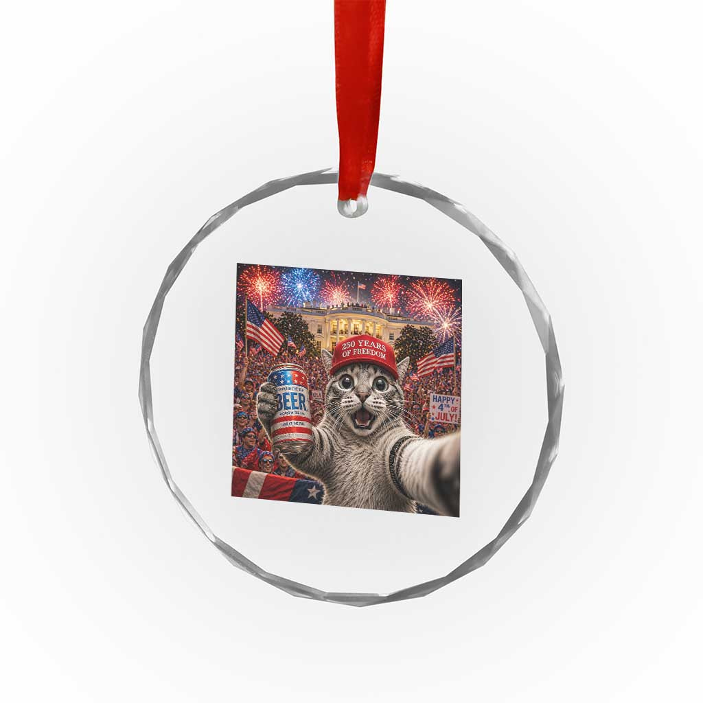 250 Years Of Freedom Crystal Glass Ornament Funny Cat Selfie 4th of July Party TS14 Print Your Wear
