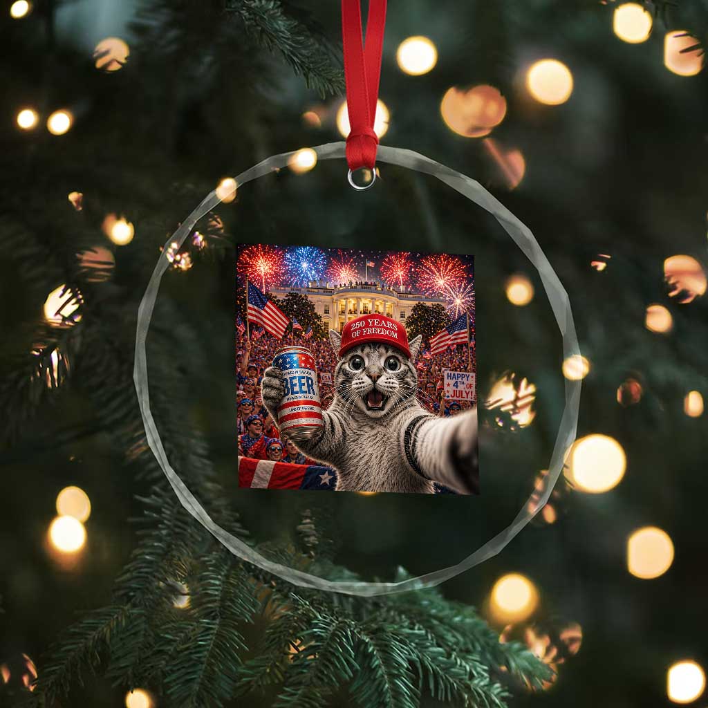 250 Years Of Freedom Crystal Glass Ornament Funny Cat Selfie 4th of July Party TS14 Print Your Wear