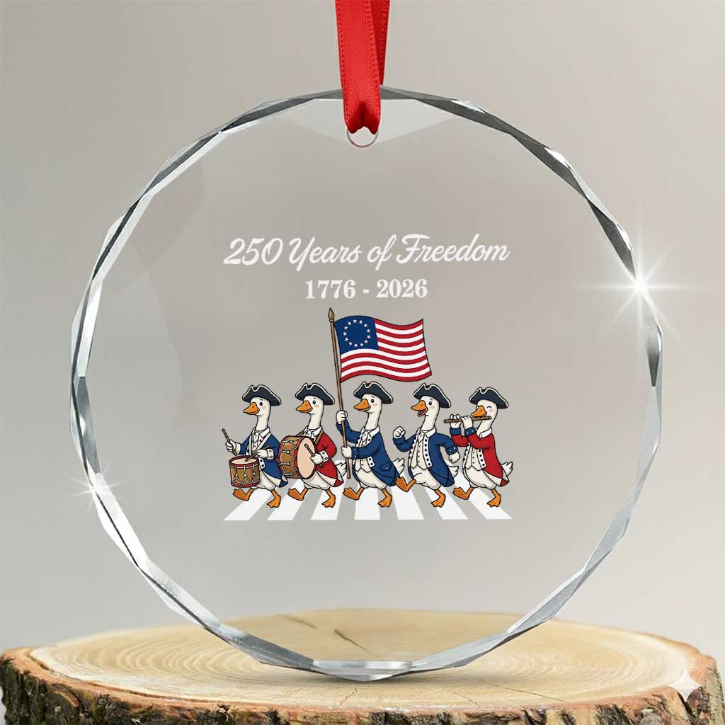250 Years Of Freedom Crystal Glass Ornament Silly Goose Patriotic 4th of July TS14 Transparent Glass 3'' Circle Print Your Wear
