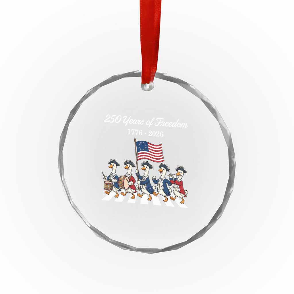 250 Years Of Freedom Crystal Glass Ornament Silly Goose Patriotic 4th of July TS14 Print Your Wear