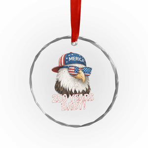 250th Anniversary USA 250 Years Baby Bald Eagle Crystal Glass Ornament TS11 Print Your Wear