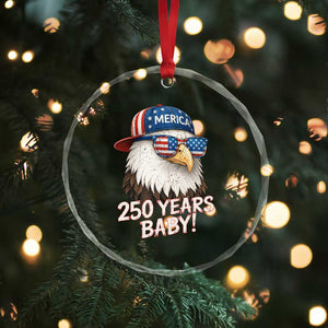 250th Anniversary USA 250 Years Baby Bald Eagle Crystal Glass Ornament TS11 Print Your Wear