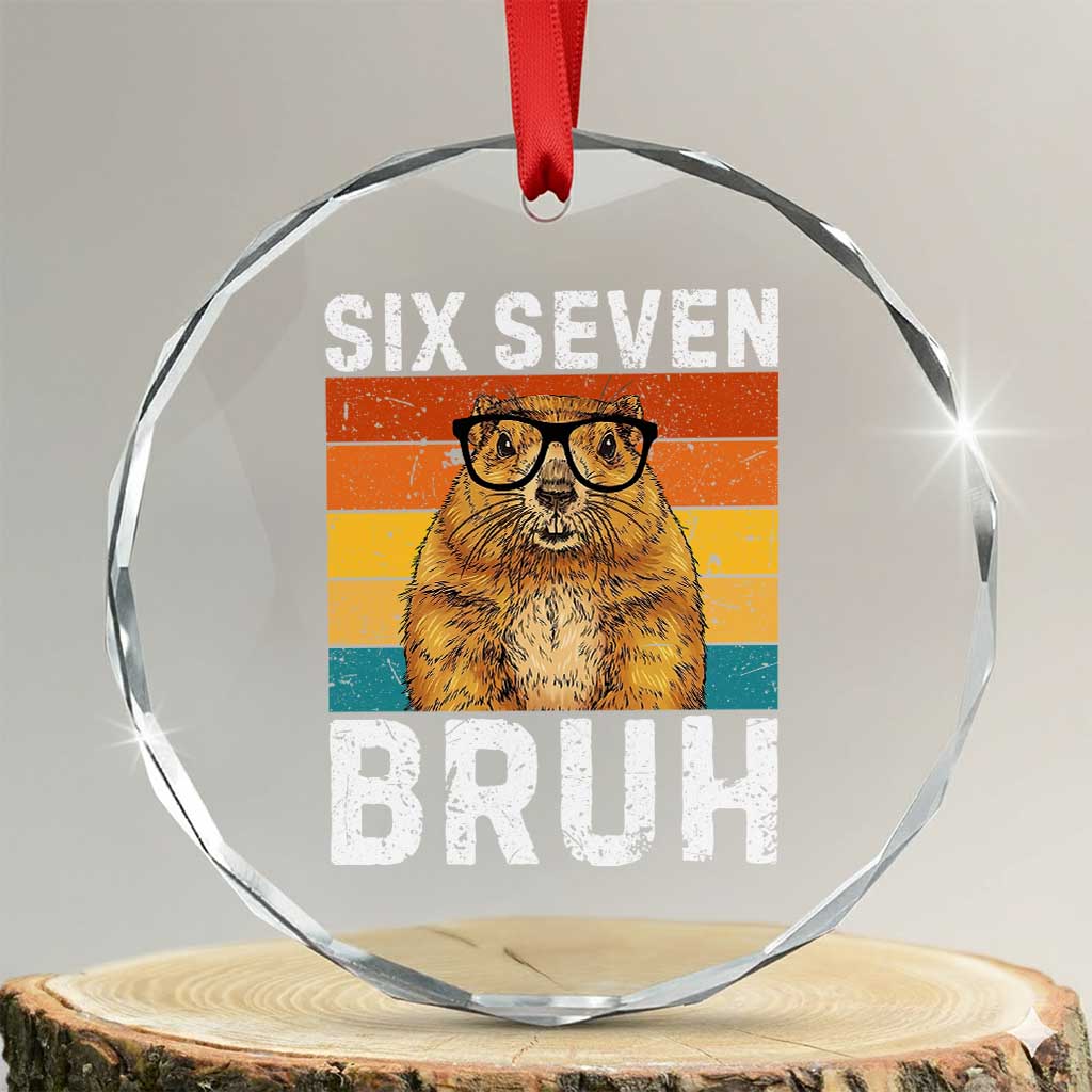67 Groundhog Meme Crystal Glass Ornament Funny Six Seven Bruh Groundhog Day TS14 Transparent Glass 3'' Circle Print Your Wear