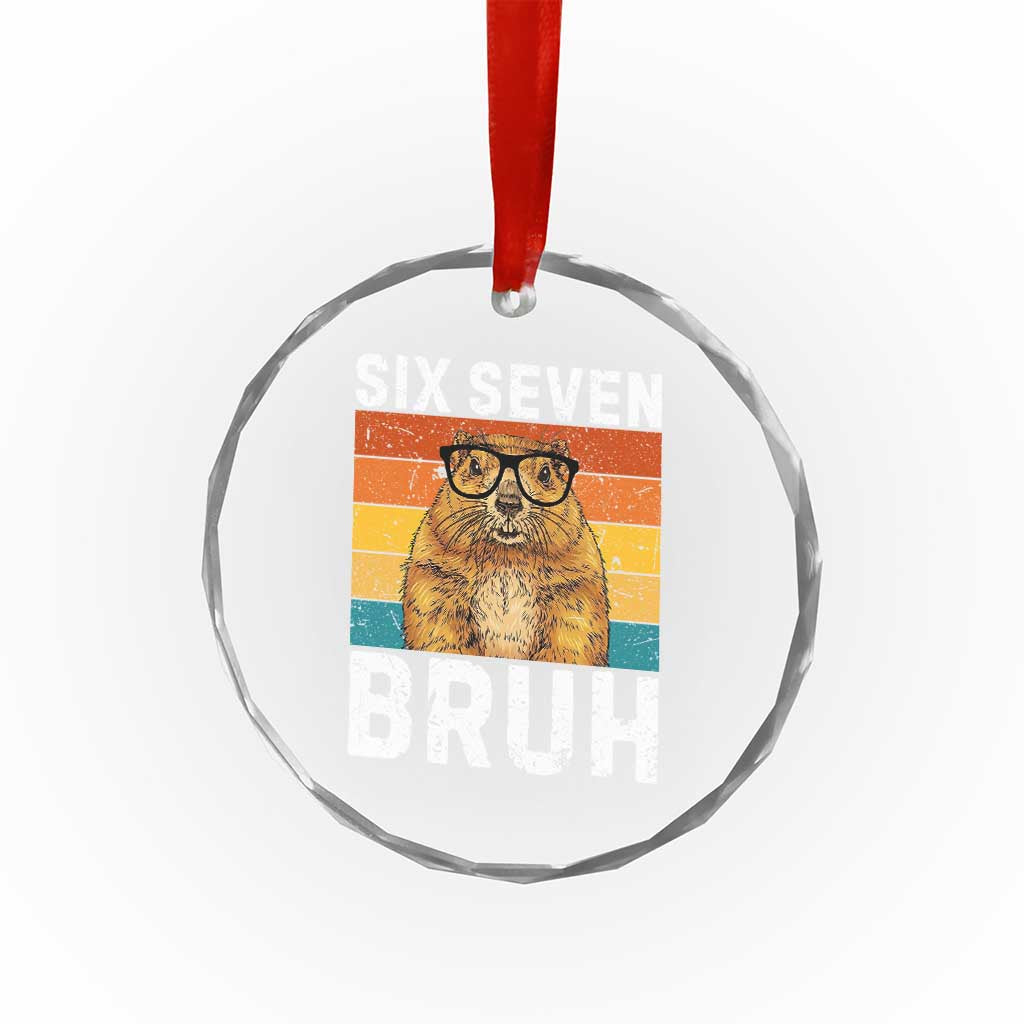 67 Groundhog Meme Crystal Glass Ornament Funny Six Seven Bruh Groundhog Day TS14 Print Your Wear