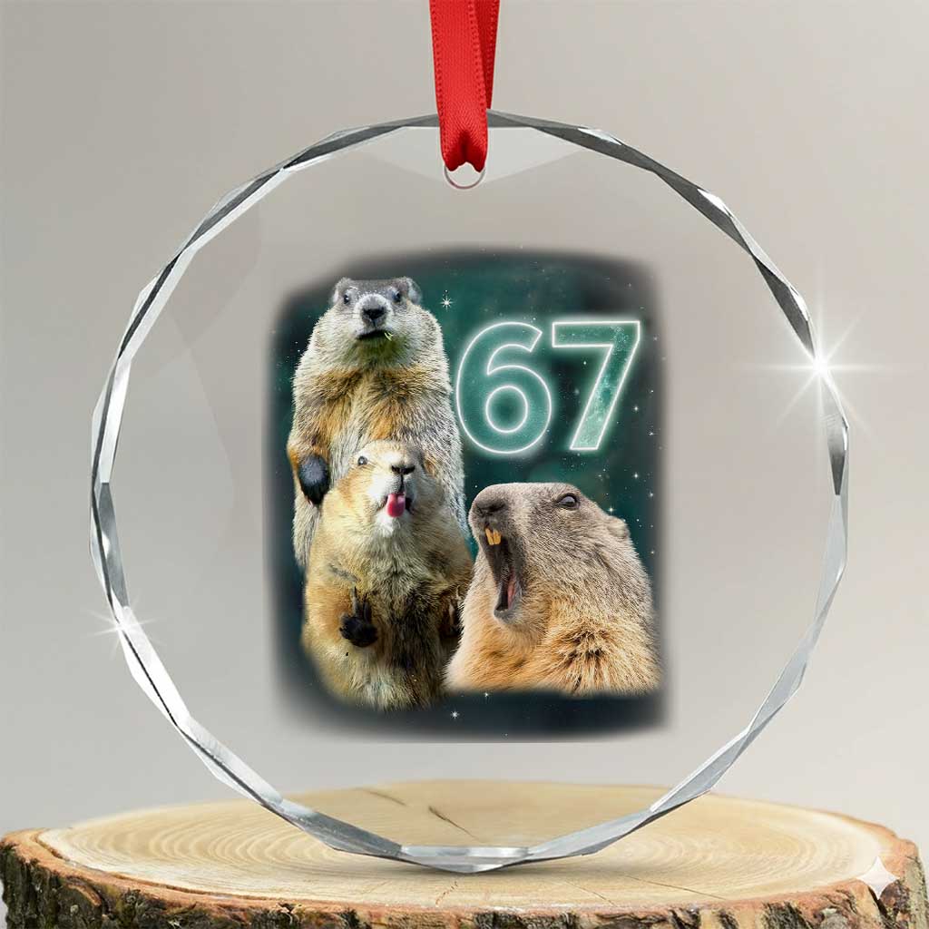 67 Meme Groundhog Crystal Glass Ornament Howling At The Moon Funny Six Seven Meme Ground Hog Day TS10 Transparent Glass 3'' Circle Print Your Wear