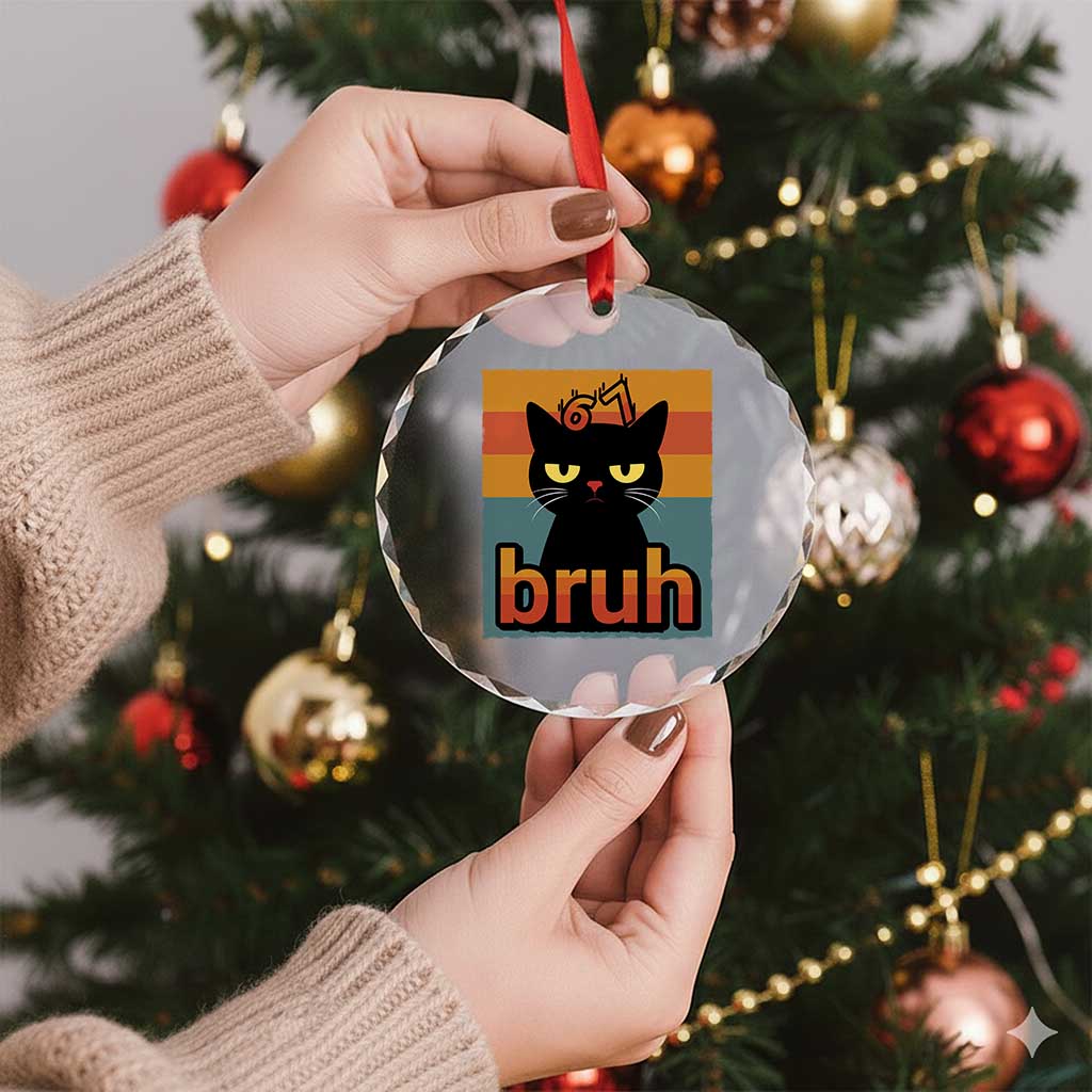67 Six Seven Bruh Cat Meme Crystal Glass Ornament Cute Black Cat Funny Saying TS14 Print Your Wear