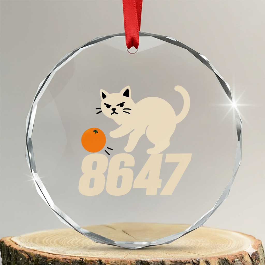 8647 FDT Crystal Glass Ornament Funny Cat Political Meme TS14 Transparent Glass 3'' Circle Print Your Wear