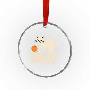 8647 FDT Crystal Glass Ornament Funny Cat Political Meme TS14 Print Your Wear