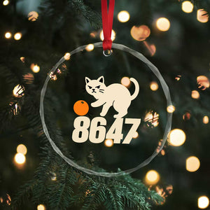 8647 FDT Crystal Glass Ornament Funny Cat Political Meme TS14 Print Your Wear