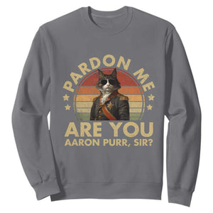 Alexander Hamilton Cat Sweatshirt Funny Gifts For Fans Cat Lovers TS10 Charcoal Print Your Wear