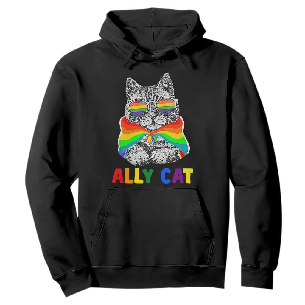 Ally Cat with Pride Cape Hoodie Rainbow LGBTQ+ Support TS02 Black Print Your Wear