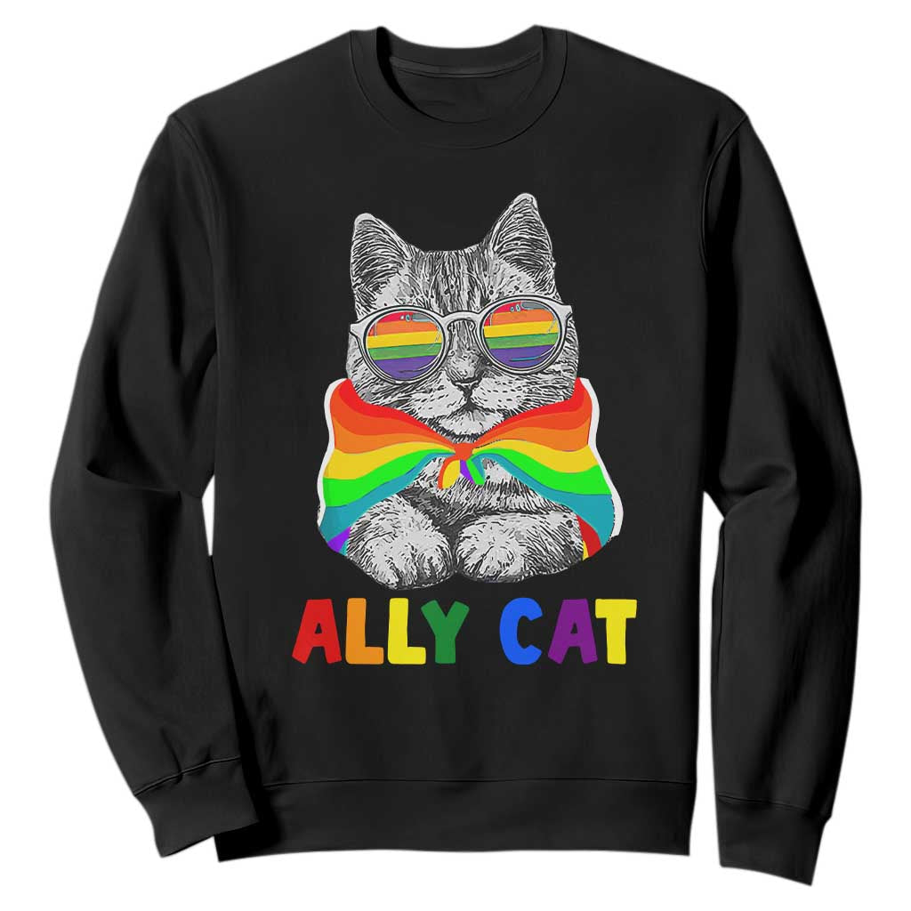 Ally Cat with Pride Cape Sweatshirt Rainbow LGBTQ+ Support TS02 Black Print Your Wear