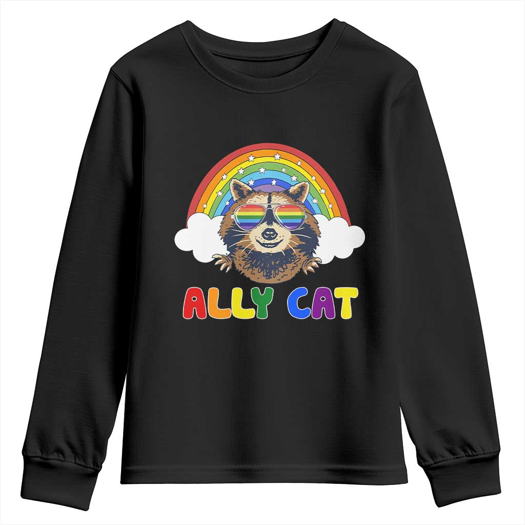 Ally Street Cat Rainbow Raccoon Youth Sweatshirt Funny LGBTQ+ Pride Support TS02 Black Print Your Wear