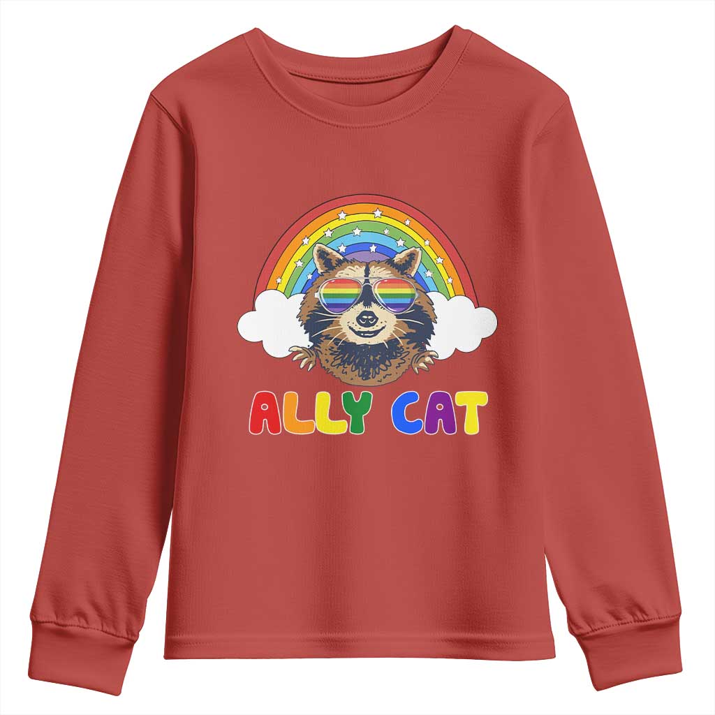 Ally Street Cat Rainbow Raccoon Youth Sweatshirt Funny LGBTQ+ Pride Support TS02 Red Print Your Wear