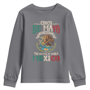 Cinco De Mayo Celebrate The Battle Of Puebla Mexico Youth Sweatshirt Vintage Mexican Flag TS11 Charcoal Print Your Wear