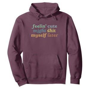 Feeling Cute Might Shit Myself Later Hoodie Funny Newborn Gift TS10 Maroon Print Your Wear