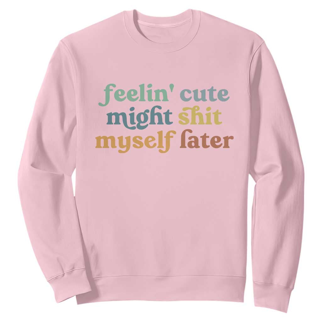 Feeling Cute Might Shit Myself Later Sweatshirt Funny Newborn Gift TS10 Light Pink Print Your Wear