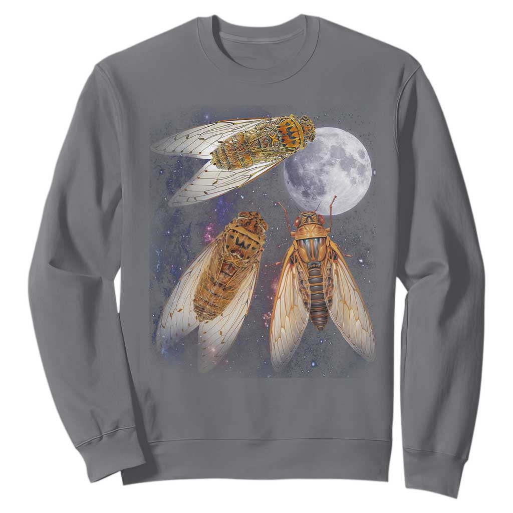 Funny 3 Cicadas Concert Fest Moon Cicada Reunion Sweatshirt TS11 Charcoal Print Your Wear