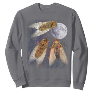 Funny 3 Cicadas Concert Fest Moon Cicada Reunion Sweatshirt TS11 Charcoal Print Your Wear
