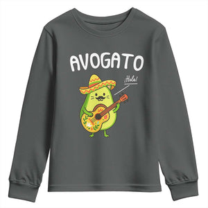 Funny Avocado Cat Avogato Youth Sweatshirt Cinco De Mayo Mexican TS11 Dark Heather Print Your Wear