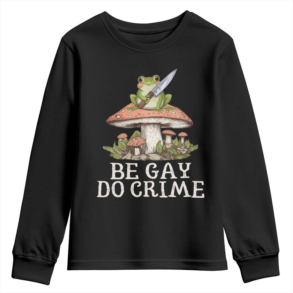 Funny Be Gay Do Crime Youth Sweatshirt LGBTQ Pride Gay Frog TS11 Black Print Your Wear