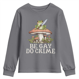 Funny Be Gay Do Crime Youth Sweatshirt LGBTQ Pride Gay Frog TS11 Charcoal Print Your Wear