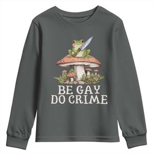 Funny Be Gay Do Crime Youth Sweatshirt LGBTQ Pride Gay Frog TS11 Dark Heather Print Your Wear