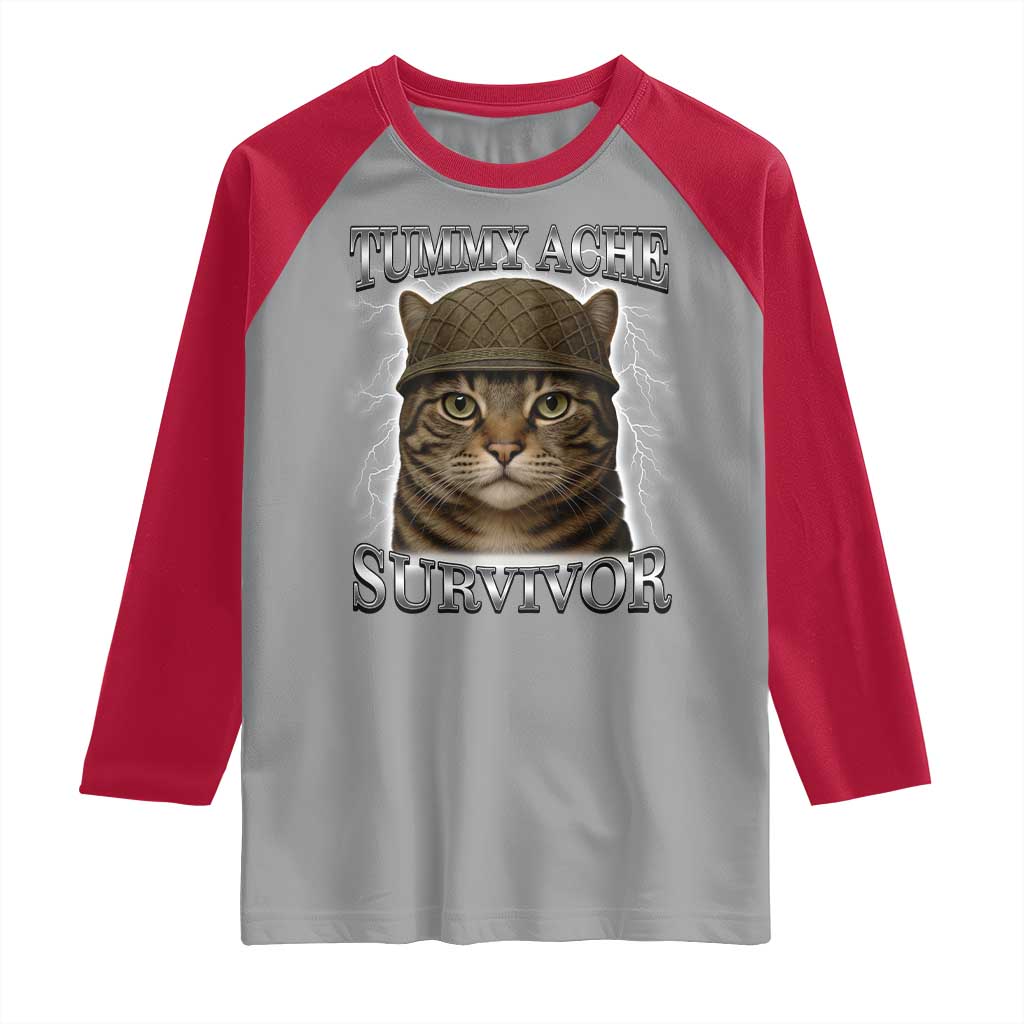 Funny Cat Meme Humor Raglan Shirt Tummy Ache Survivor Lightning Cats Parody TS02 Sport Gray Red Print Your Wear