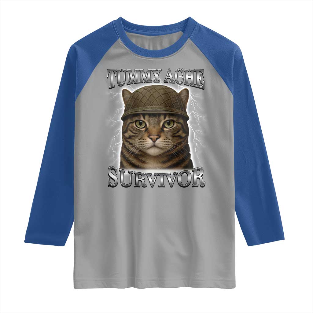 Funny Cat Meme Humor Raglan Shirt Tummy Ache Survivor Lightning Cats Parody TS02 Sport Gray Royal Print Your Wear