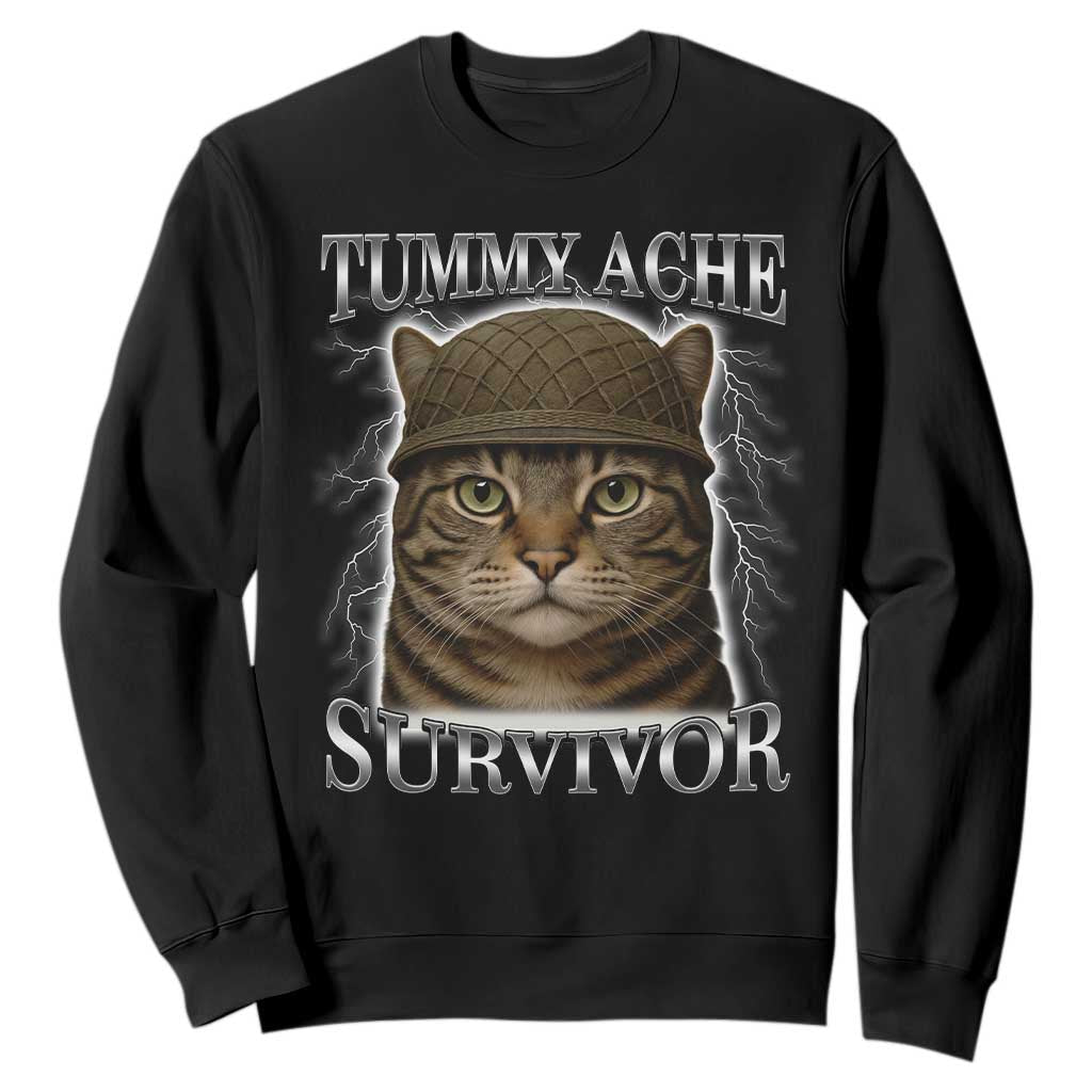 Funny Cat Meme Humor Sweatshirt Tummy Ache Survivor Lightning Cats Parody TS02 Black Print Your Wear