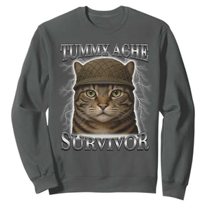 Funny Cat Meme Humor Sweatshirt Tummy Ache Survivor Lightning Cats Parody TS02 Dark Heather Print Your Wear
