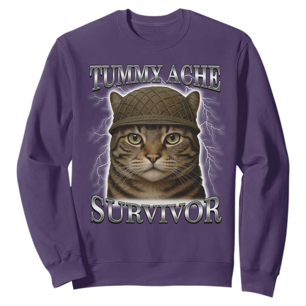 Funny Cat Meme Humor Sweatshirt Tummy Ache Survivor Lightning Cats Parody TS02 Purple Print Your Wear
