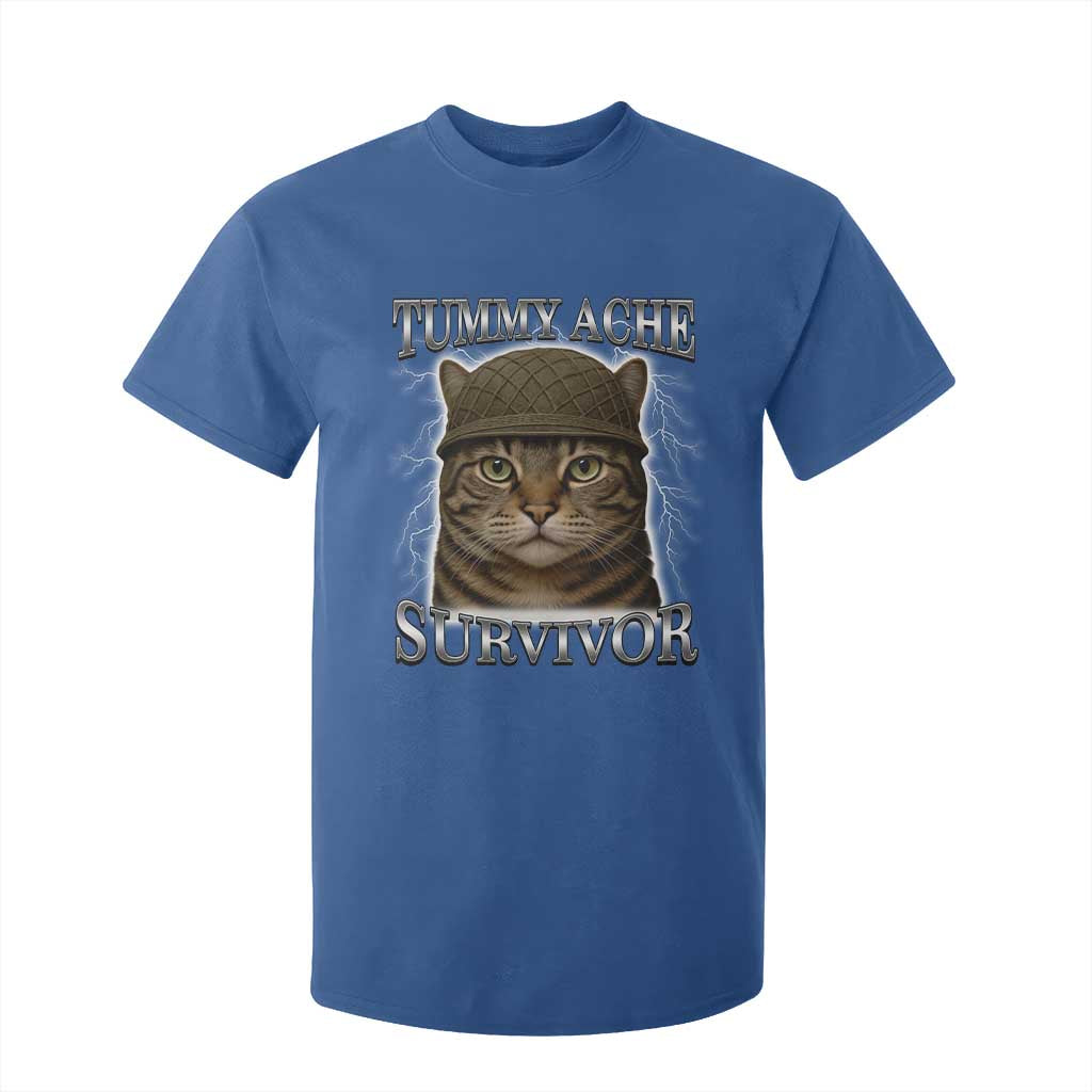Funny Cat Meme Humor T Shirt For Kid Tummy Ache Survivor Lightning Cats Parody TS02 Royal Blue Print Your Wear