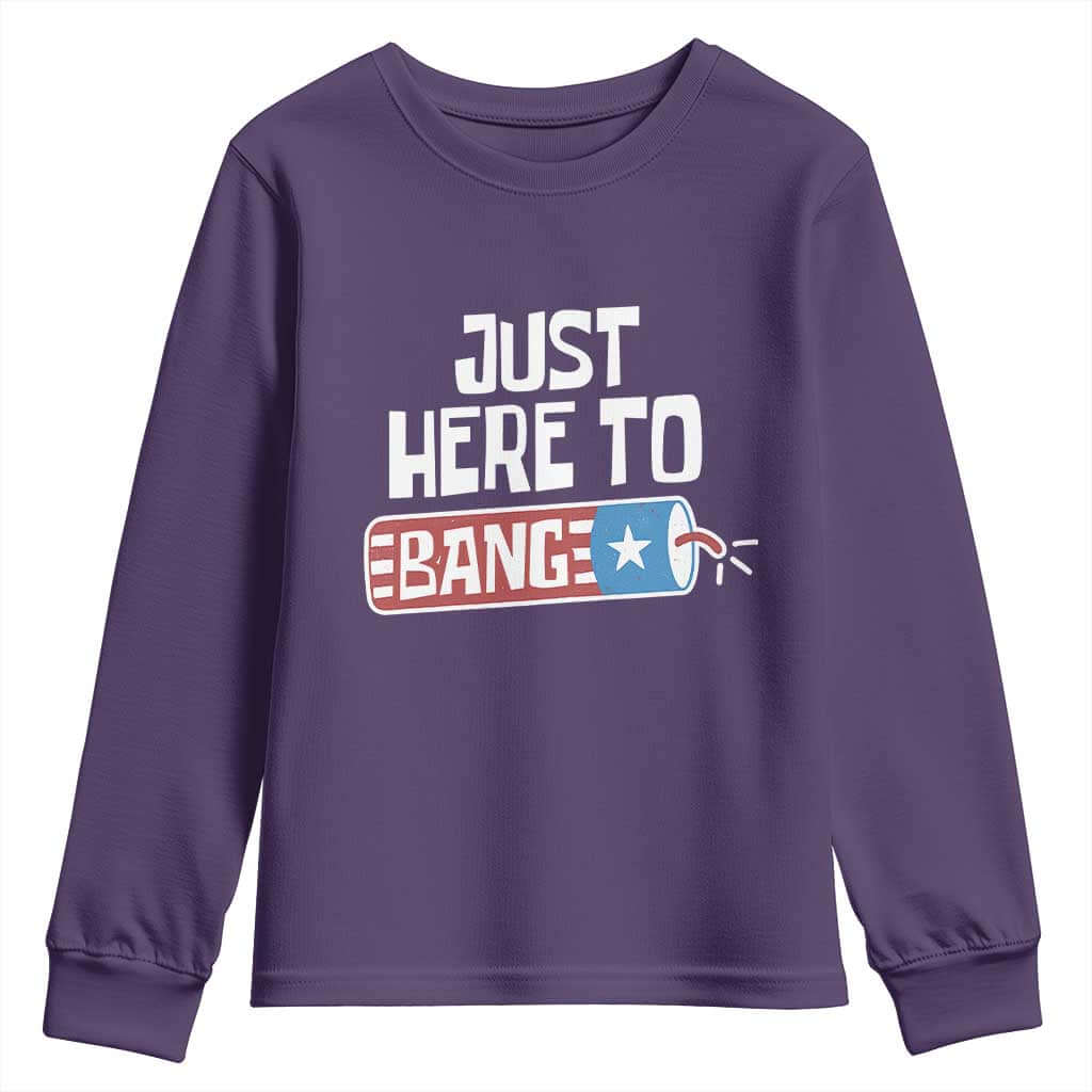 Funny Fireworks Just Here To Bang Youth Sweatshirt American Flag Firecracker TS11 Purple Print Your Wear