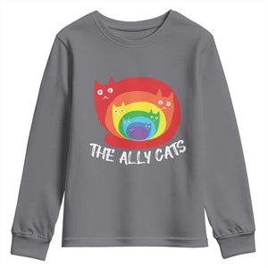 Funny LGBT The Ally Cats Youth Sweatshirt Pride Month Rainbow Cat TS11 Charcoal Print Your Wear