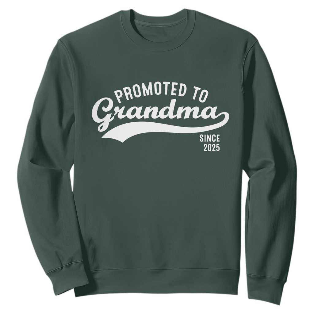 Funny New Grandma Promoted To Grandma Since 2025 Sweatshirt Baby Announcement TS11 Dark Forest Green Print Your Wear