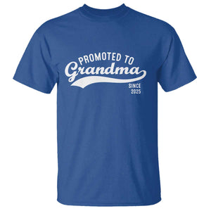 Funny New Grandma Promoted To Grandma Since 2025 T Shirt Baby Announcement TS11 Royal Blue Print Your Wear