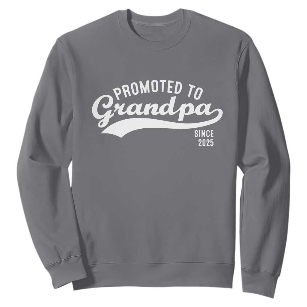 Funny New Grandpa Promoted To Grandpa Since 2025 Sweatshirt Baby Announcement TS11 Charcoal Print Your Wear