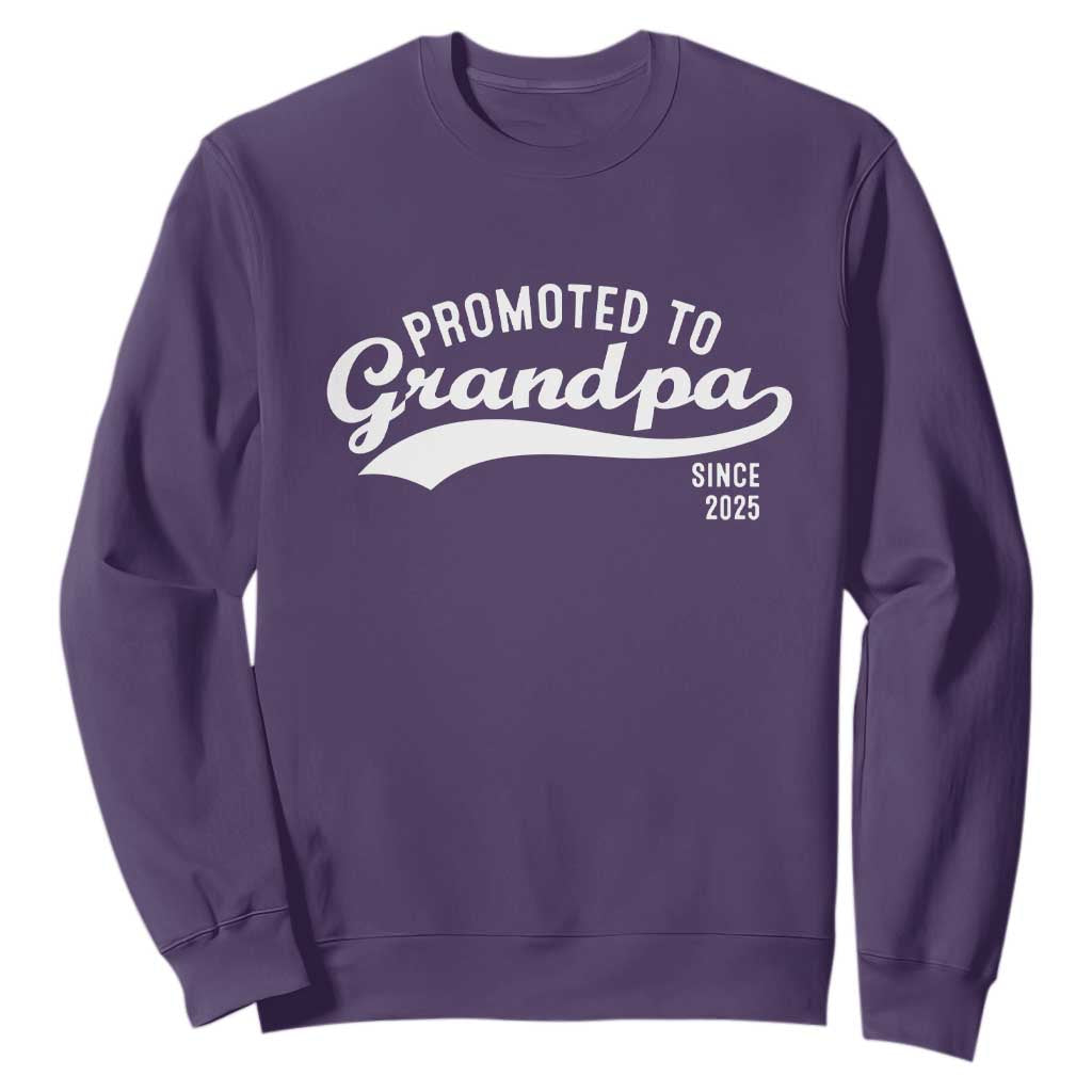 Funny New Grandpa Promoted To Grandpa Since 2025 Sweatshirt Baby Announcement TS11 Purple Print Your Wear