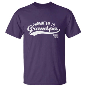 Funny New Grandpa Promoted To Grandpa Since 2025 T Shirt Baby Announcement TS11 Purple Print Your Wear