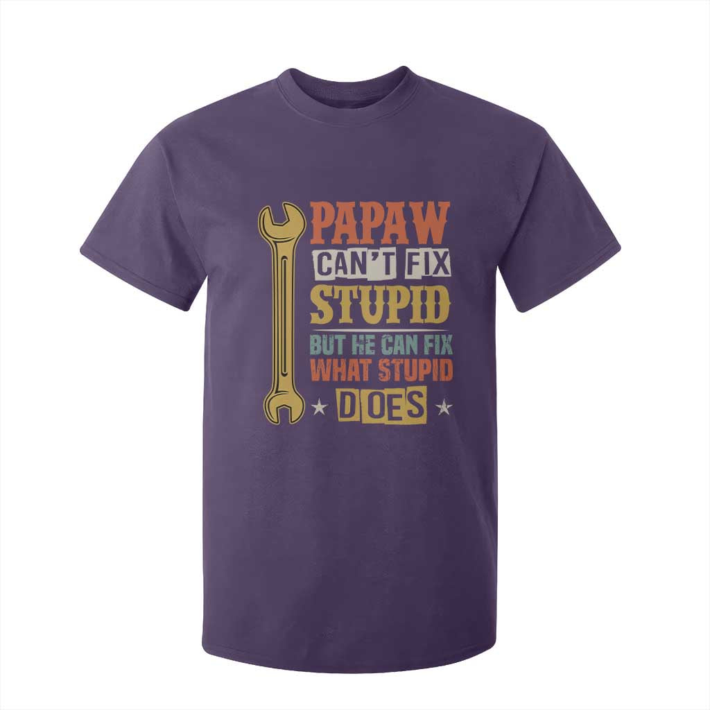 Funny Papaw Can't Fix Stupid But He Can Fix What Stupid Does T Shirt For Kid Grandpa Father's Day TS11 Purple Print Your Wear