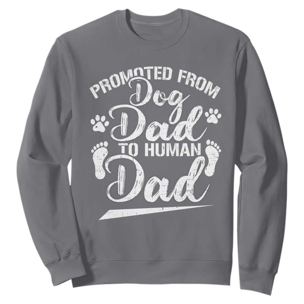 Funny Promoted From Dog Dad To Human Dad Sweatshirt New Father Paw Father's Day TS11 Charcoal Print Your Wear